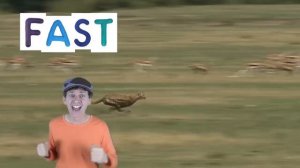 Fast Slow Action Song for Kids | Learning Opposites | Learn English Children