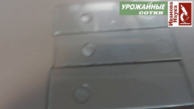 Кусок дешевого МЫЛА - лучшее средство для подкормки и защиты от болезней и вредителей. смотреть онлайн