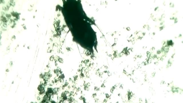 Творческий Путь к Удовлетворению