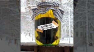 Кротовуха