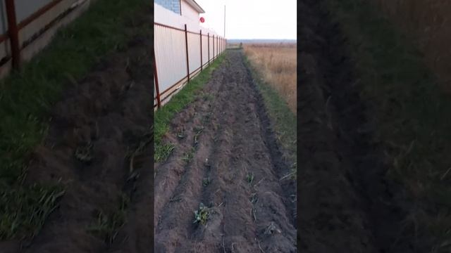 МТЗ-05, осенняя вспашка. смотреть онлайн