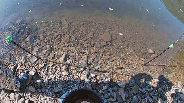 Река Мана! продолжение... Как поймать рыбу, теперь знает и ребёнок... смотреть онлайн