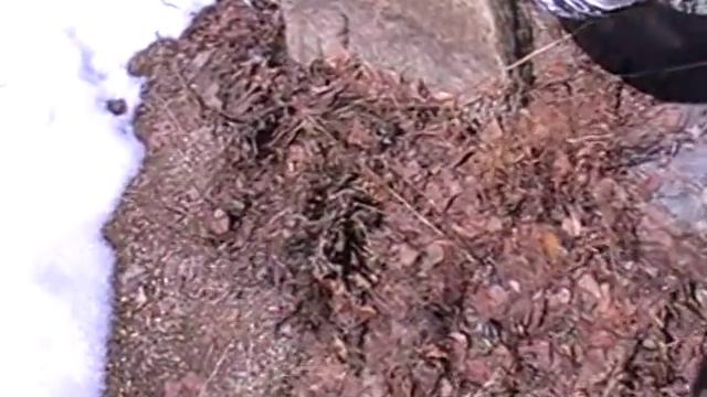 Просто песня! Наливай да пей! смотреть онлайн