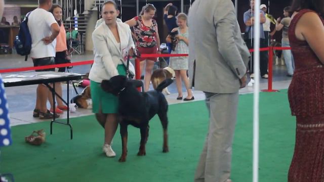 Шоумен из Бойкого Дома. смотреть онлайн