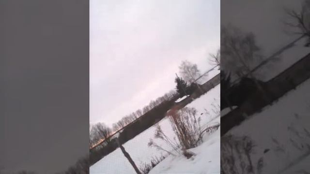 Борода замесяц бритьё поможет и минокседил тоже смотреть онлайн