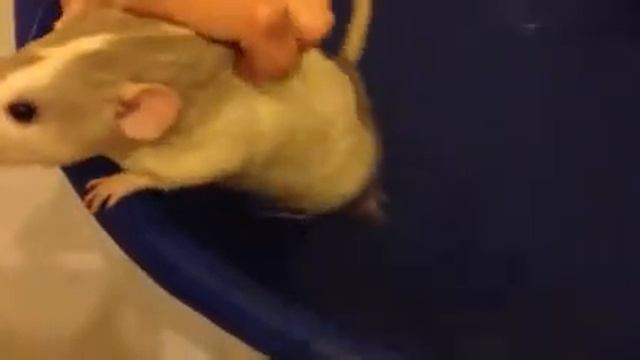 Спасите люди добрые!)) смотреть онлайн