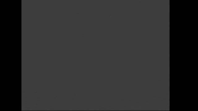 Щенки голубого французского бульдога Барни смотреть онлайн