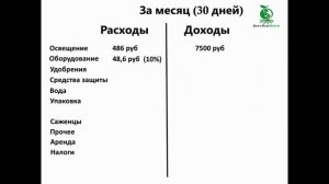 Бизнес модель круглогодичного выращивания клубники на гидропонике.
