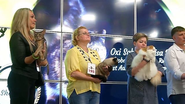 Best in show. Day 2 смотреть онлайн