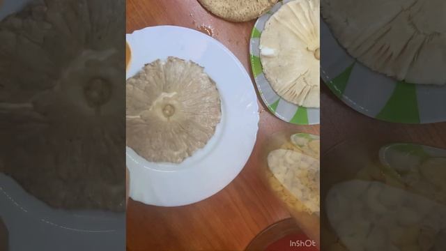 Готовим грибы «Зонтики» или «Попы» смотреть онлайн