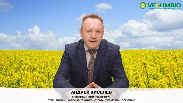 Разбираем ошибки при кормлении птицы смотреть онлайн