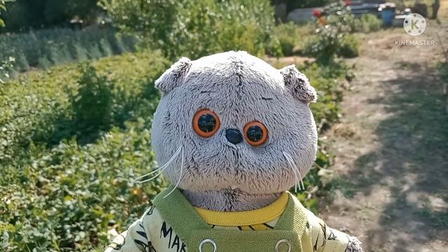 ??Летний влог в деревне с Басиком?? смотреть онлайн