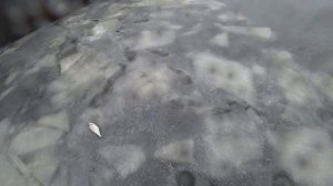 Ловля на ГИРЛЯНДУ! Синец, ГУСТЕРА, ЛЕЩ на чертик Припять, Белпрусь 2023,2024!