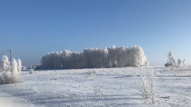 Зимняя сказка. Красота зимнего леса. Новосибирская область. Зима. смотреть онлайн