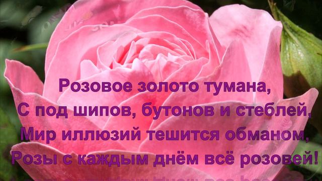 ч.6. "Розовые розы" сборника стихов - "Размышления о розах" смотреть онлайн