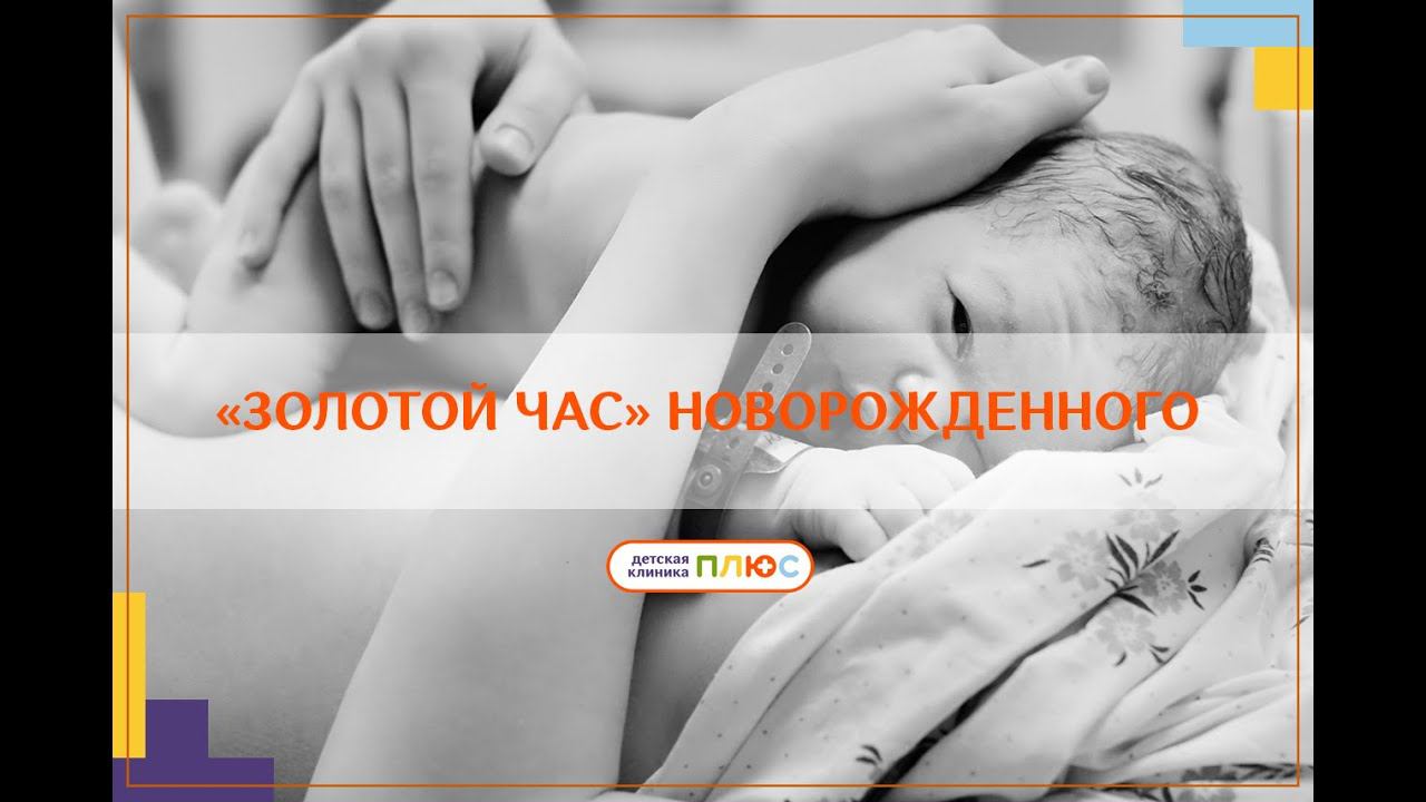 «Золотой час» новорожденного. Что это такое? смотреть онлайн