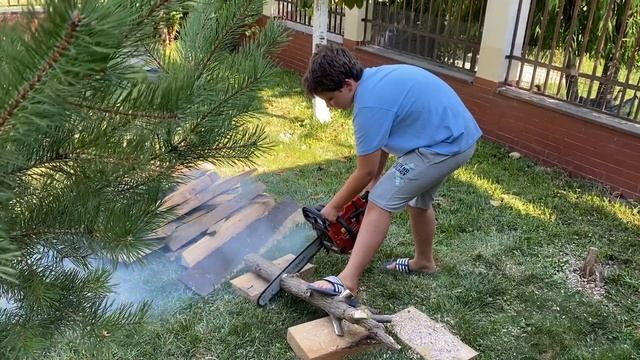 Am tăiat lemne cu drujba смотреть онлайн