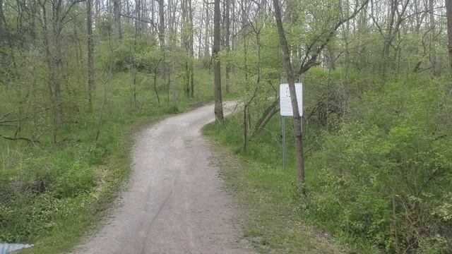 Franklin Grobb Memorial Forest, Brantford, Ontario, Canada смотреть онлайн