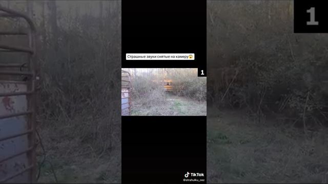 Страшные звуки мистические существа смотреть онлайн