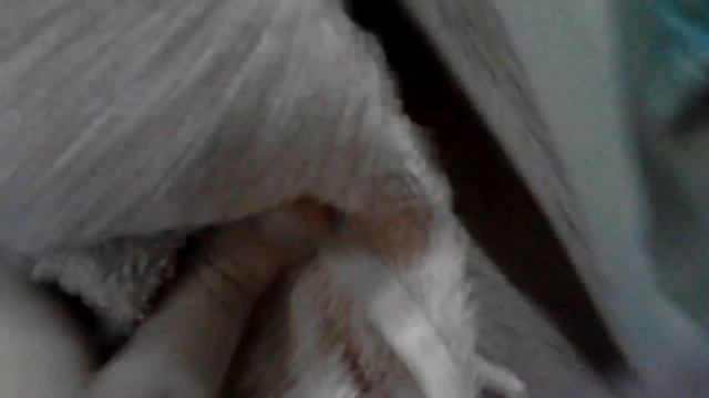 Творческие Пучки