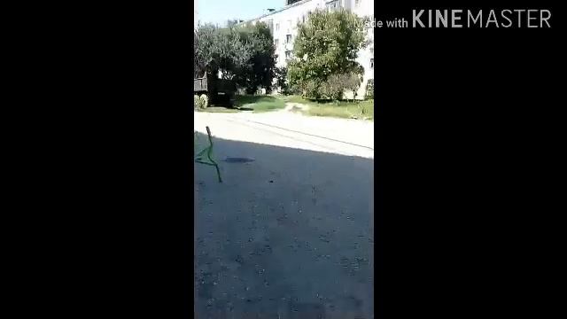Обзор моего скута+как делать высокие баники смотреть онлайн