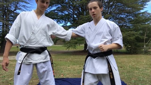 15 Amazing Self Defense Drills and Techniques смотреть онлайн