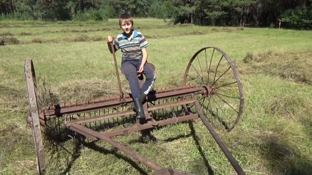 Уборка сена ,сгребаем конными граблями . смотреть онлайн