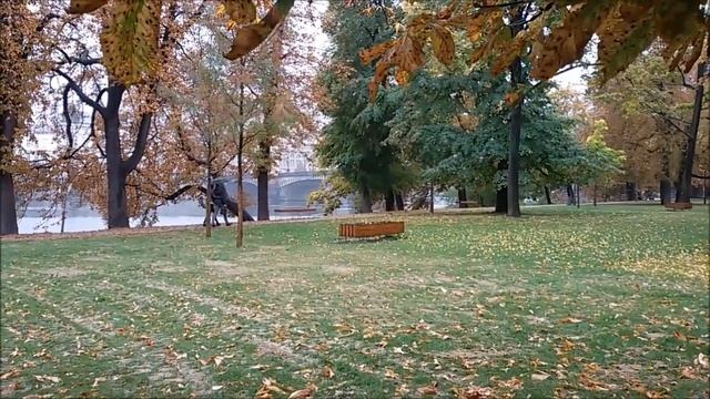 Красивый стих . Про Осень и Любовь смотреть онлайн