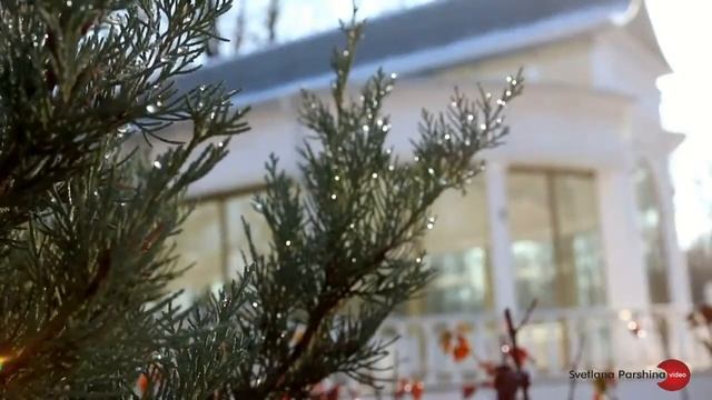 Зимняя свадьба. Видео Паршина Светлана смотреть онлайн