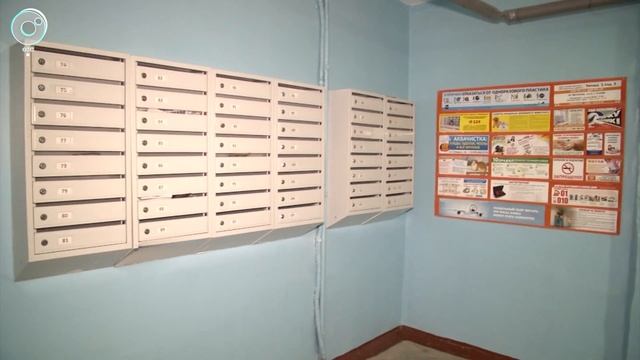 В Ленинском районе Новосибирска появились необычайно крупные тараканы смотреть онлайн