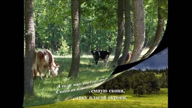 Летний вечер к 240-летию В.Жуковского смотреть онлайн