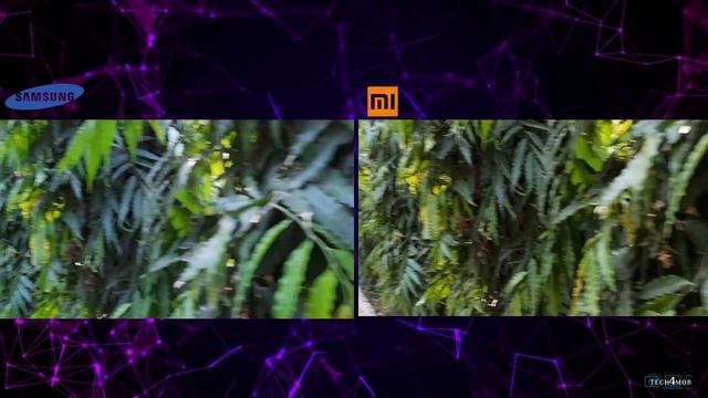 Redmi Note 8 Pro vs Samsung A50S Camera Comparison|Note 8 Pro Camera Review|Samsung A50S Camera смотреть онлайн