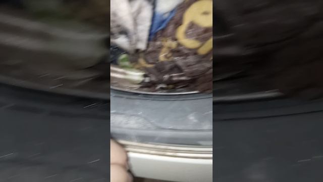 1000000345.mp4 смотреть онлайн