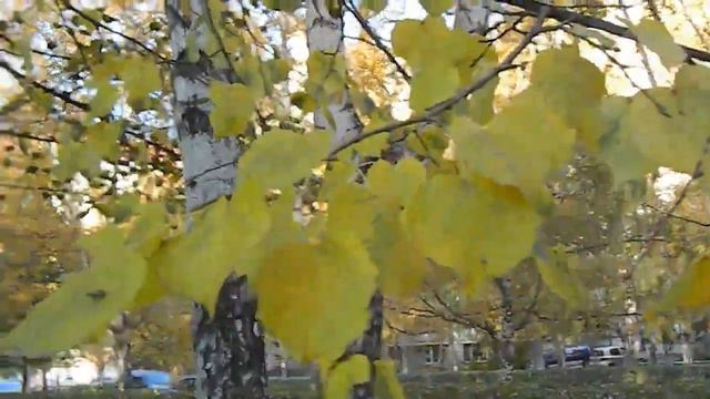 Красивая Осень в моем городе смотреть онлайн