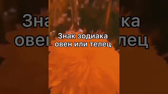 Пой эту песню если ты??♀️? смотреть онлайн