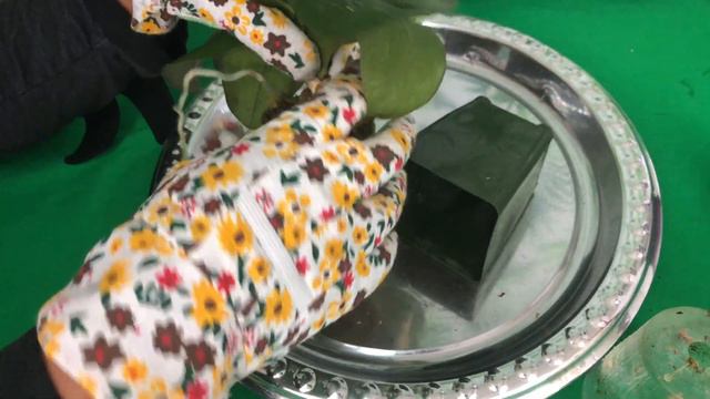 New Growers Guide to Repotting Phalaenopsis Orchids смотреть онлайн