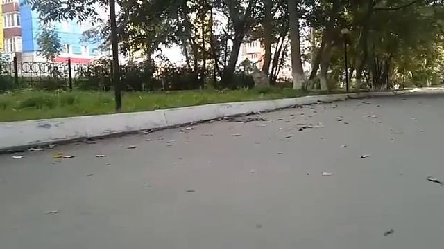 Гироскутер | катаюсь!