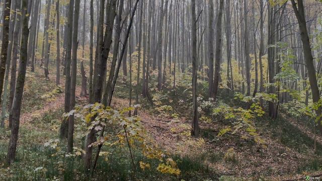 Парк Малевича в 4K HDR смотреть онлайн