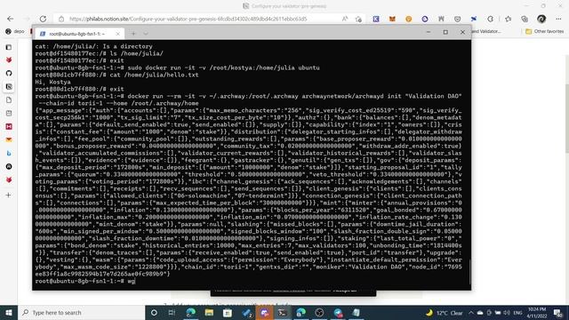 О чем я думаю ставя ноду, часть 1: Cosmos GenTX | Konstantin N5N, CryptoLodes Devs смотреть онлайн