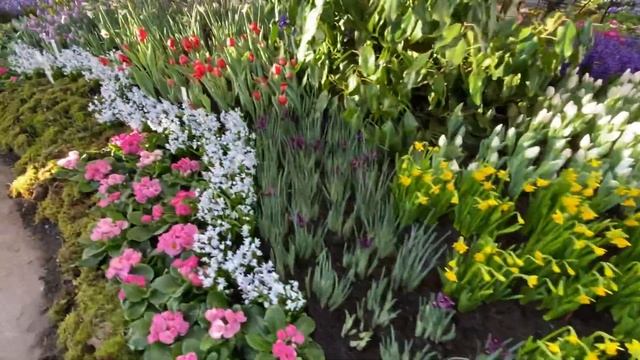 Frankfurt Palmengarten Spring Flower Show