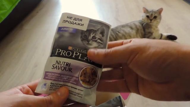 Халява! Бесплатный премиум корм для вашего любимца. смотреть онлайн