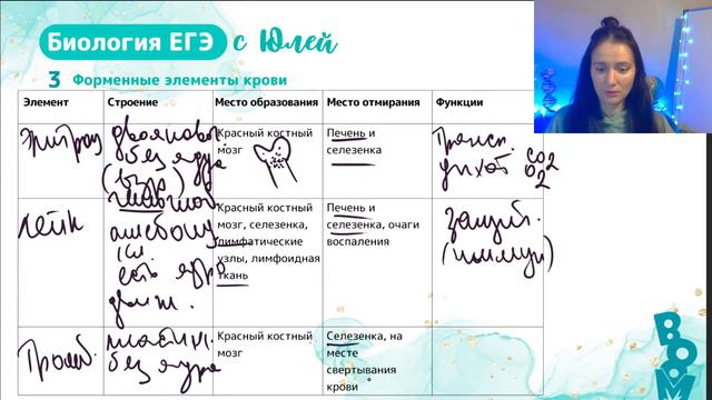 Грязнокровка | Марафон по Анатомии человека| БИОЛОГИЯ ЕГЭ 2024 смотреть онлайн