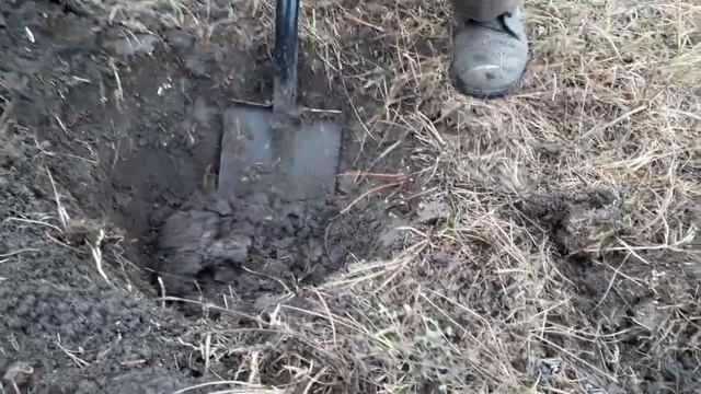 Коп на Донбассе. Сарматское зеркало, средневековое серебро. смотреть онлайн