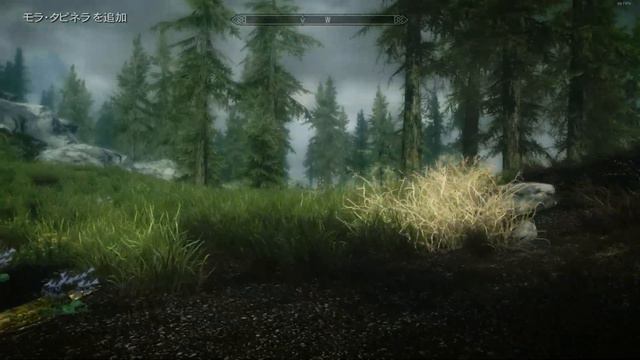 Skyrim Gameplay [018] Meathead Cat: I got... Meridia's Ball? (Khajiit/No Commentary) смотреть онлайн
