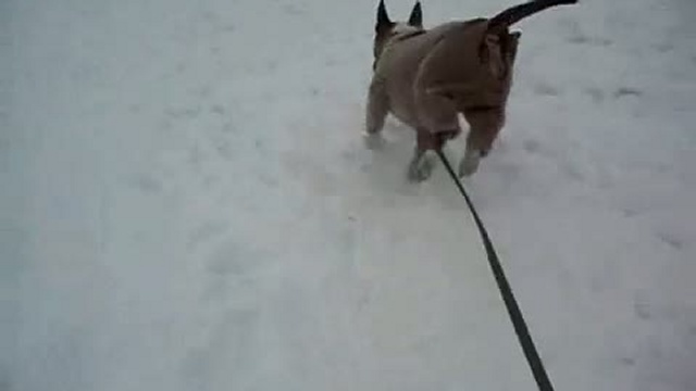 Прогулочка