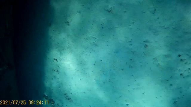 МЫ В ЕГИПТЕ 2021г!!! Отель Али Баба Палас 4 Хургада Египет. Пляж отеля Жасмин. Затонувший корабль смотреть онлайн