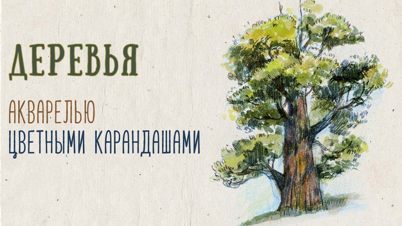 Пленэр онлайн. Рисуем наброски деревьев в смешанной технике. смотреть онлайн