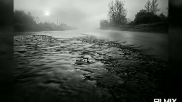 Мёртвый мир/Ангелина Мелешкова/ #стихи #поэзия #авторскиестроки #опандемии смотреть онлайн