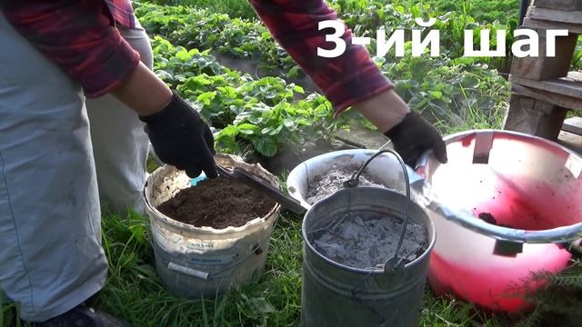 5 летних шагов к большому урожаю клубники в следующем сезоне. Уход за клубникой после сбора урожая. смотреть онлайн