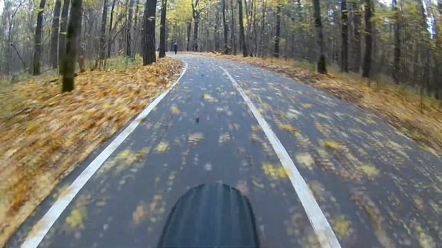На велосипеде. Ботанический сад. Осень (задняя камера) смотреть онлайн